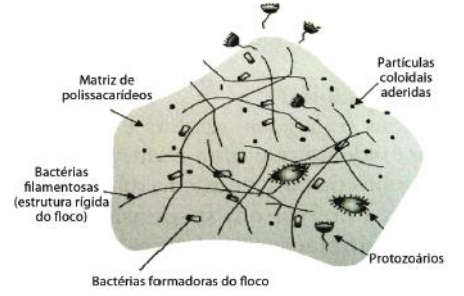 O que é Lodo Ativado?