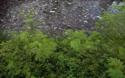 Saneamento precário facilita a dispersão de plástico e microplástico na Amazônia